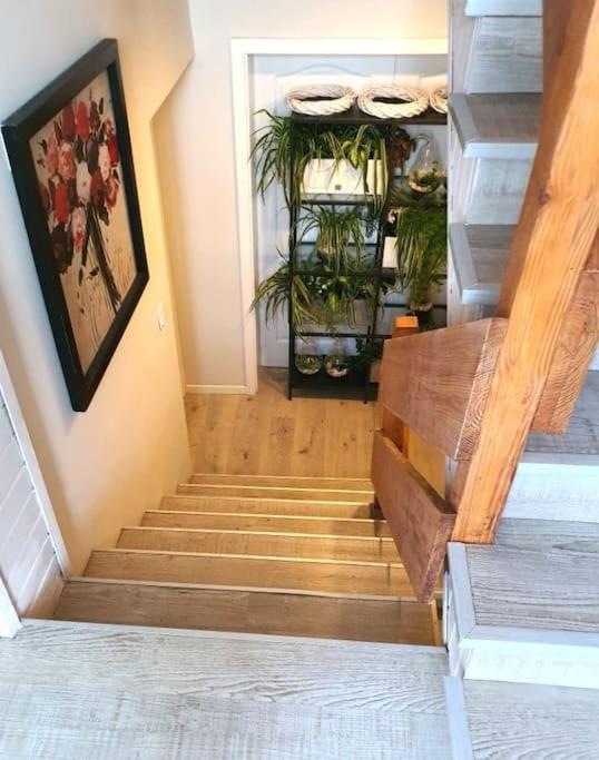 Apartament.