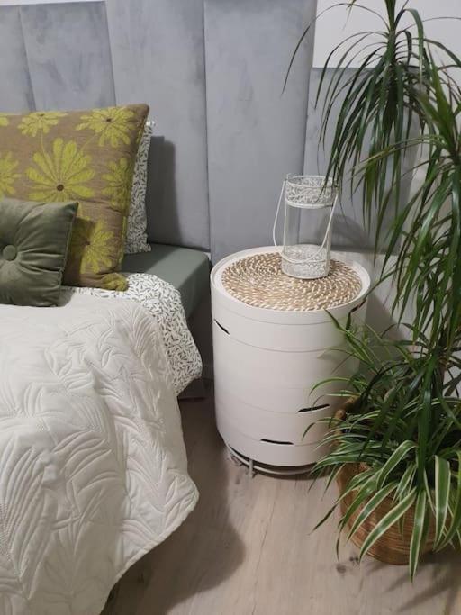 Apartament. Poznaň