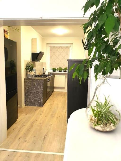 Apartmán Apartament. Poznaň