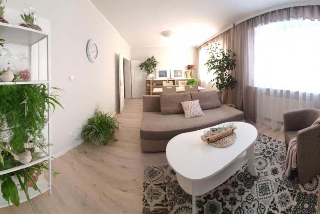 Apartament. Poznaň