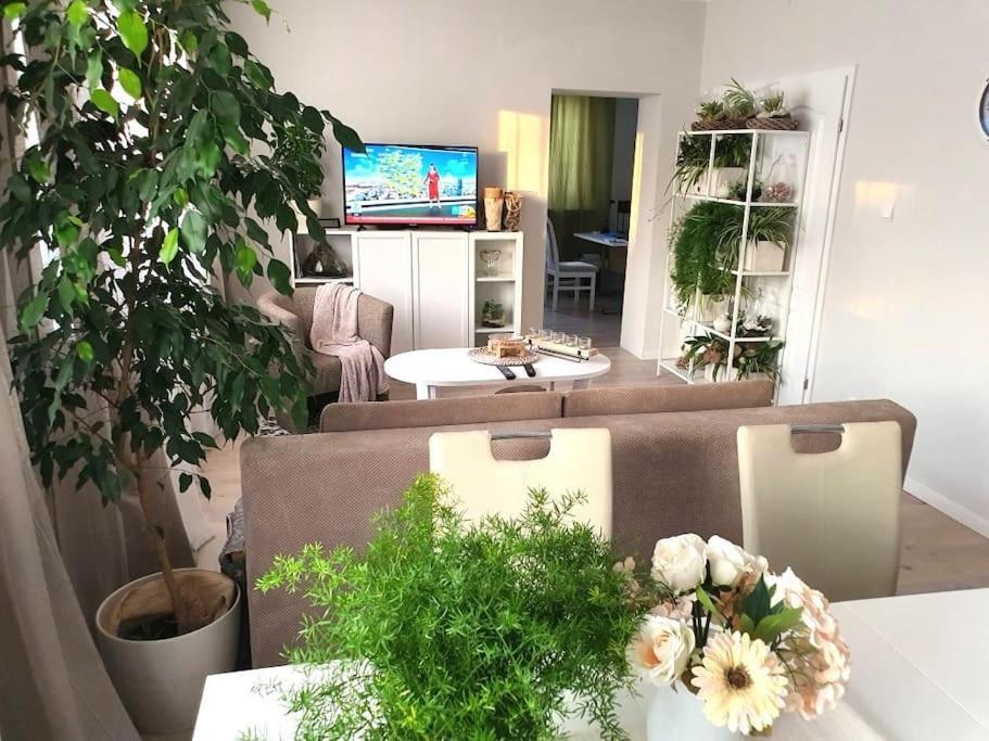 Apartmán Apartament.