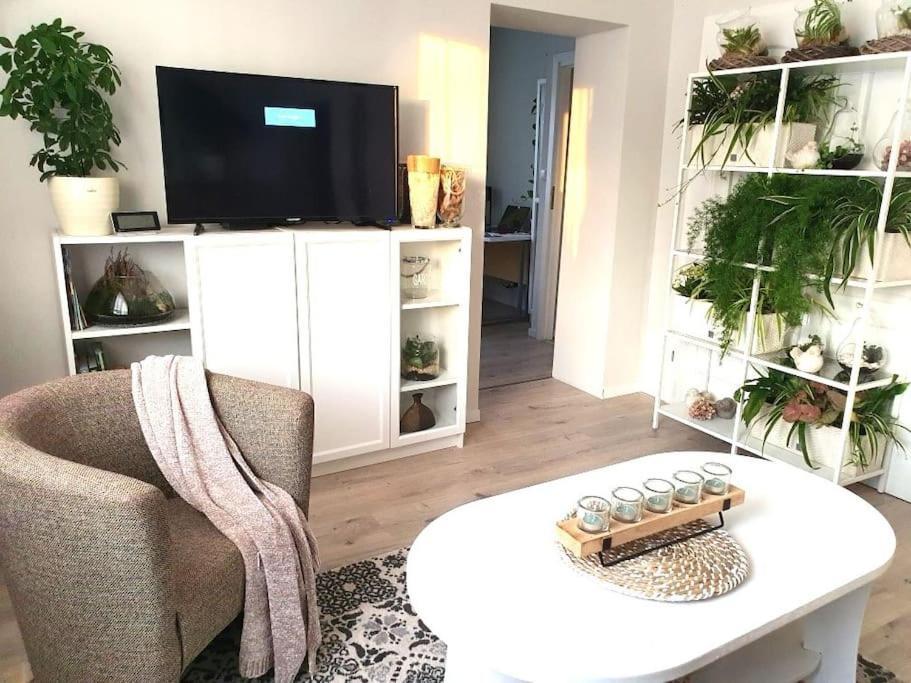 Apartament. Poznaň